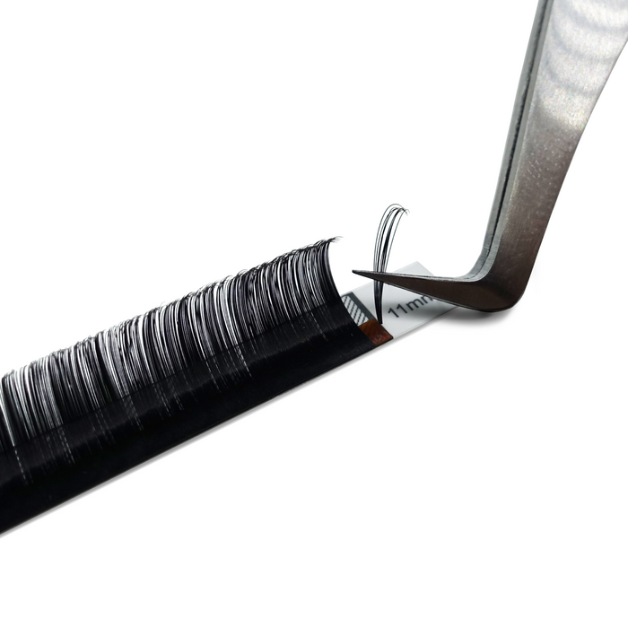 *MIX* NOIR SELECT VOLUME LASH TRAY